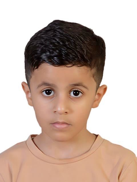 احصائية التسجيل في إبداع